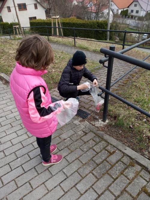 39. Den země