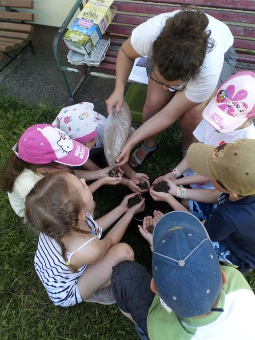 38. Život hmyzu na zahradě, lektorský program - červen 2019