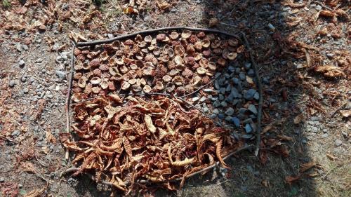 28. Den Země - duben 2019