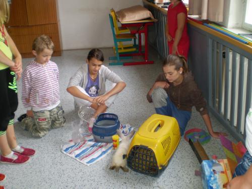 14. Předposlední den ve škole - červen 2013