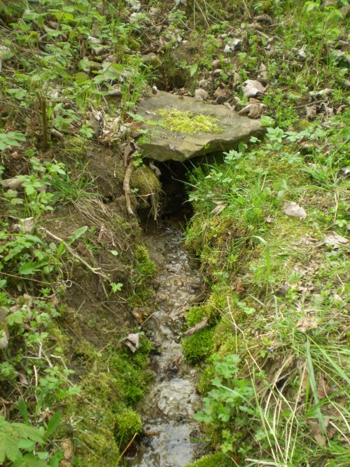 21. Vycházka ke studánce - květen 2015