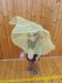 E9E68EEE-B213-4ABD-993A-7177CDCA7537
